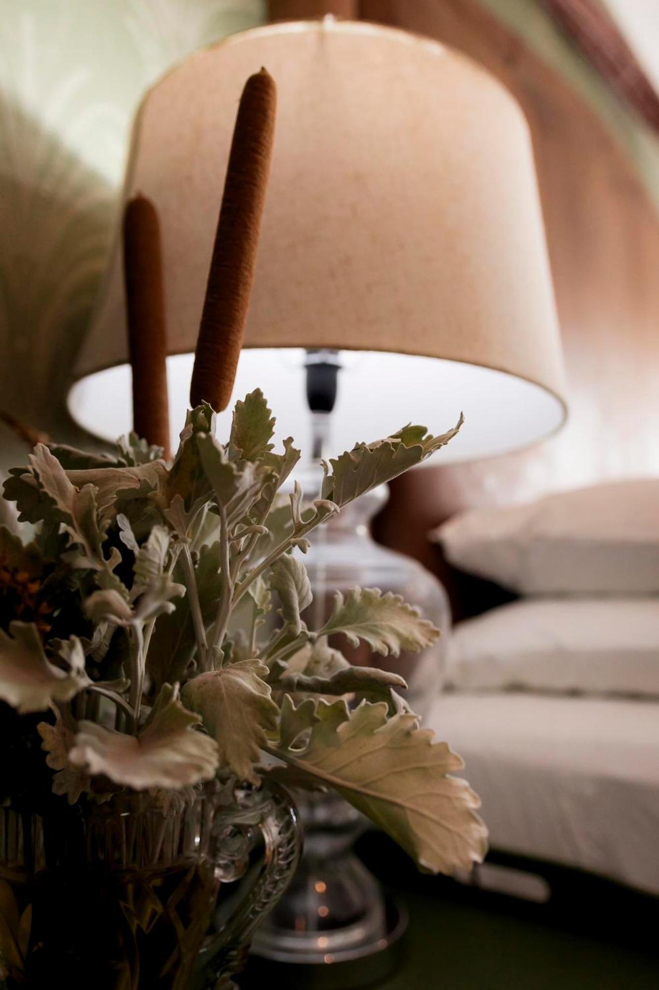 Sweetfontein Boutique Farm Lodge Britstown エクステリア 写真