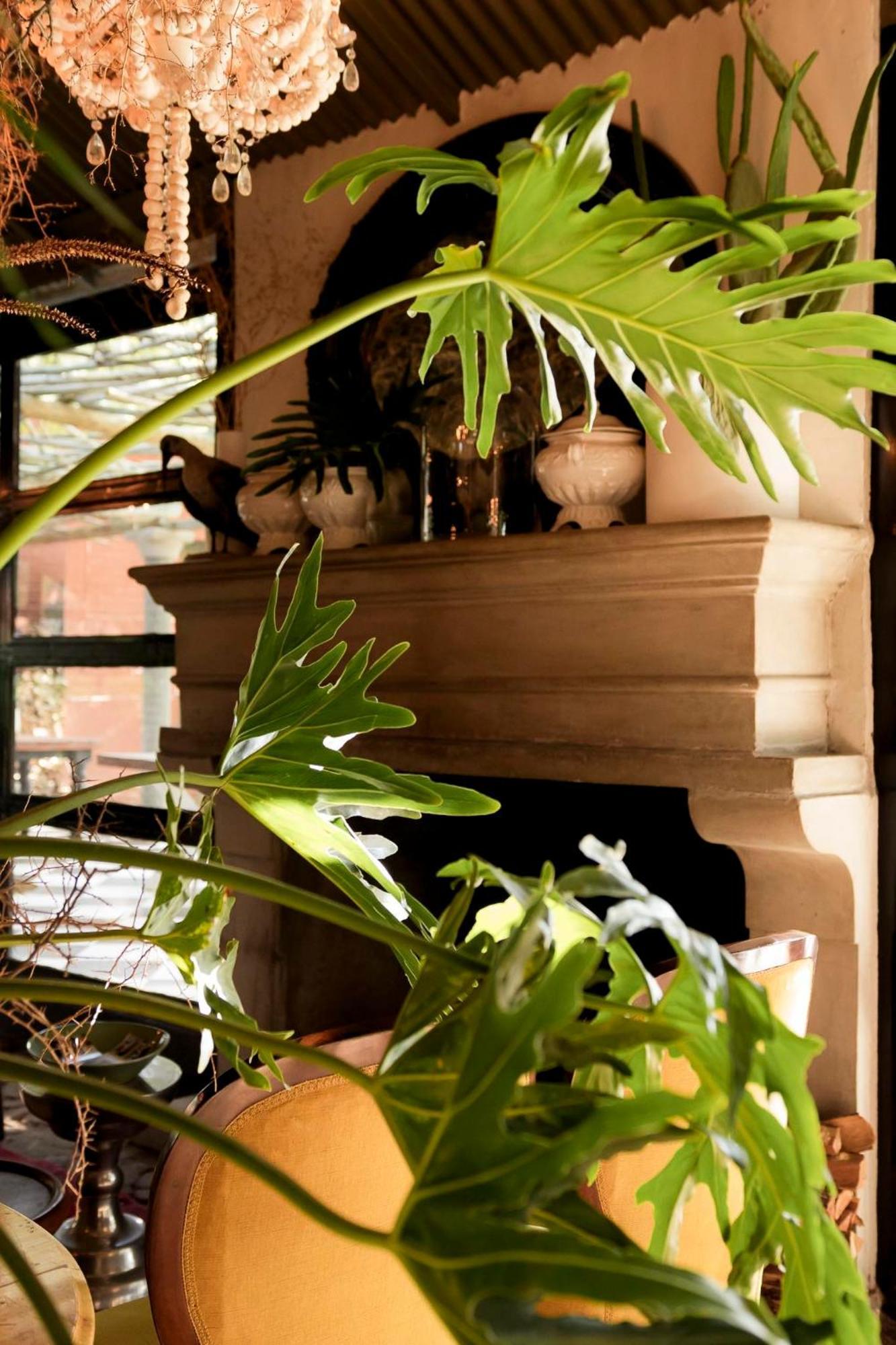 Sweetfontein Boutique Farm Lodge Britstown エクステリア 写真